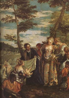 Paolo  Veronese The Finding of Moses (mk08) china oil painting image